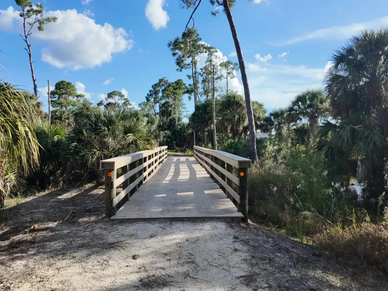 Nature trail boardwalk — 50+ miles of trails at Babcock Ranch®